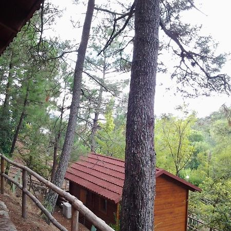 Hotel Camping La Eliza Lanzahita Zewnętrze zdjęcie
